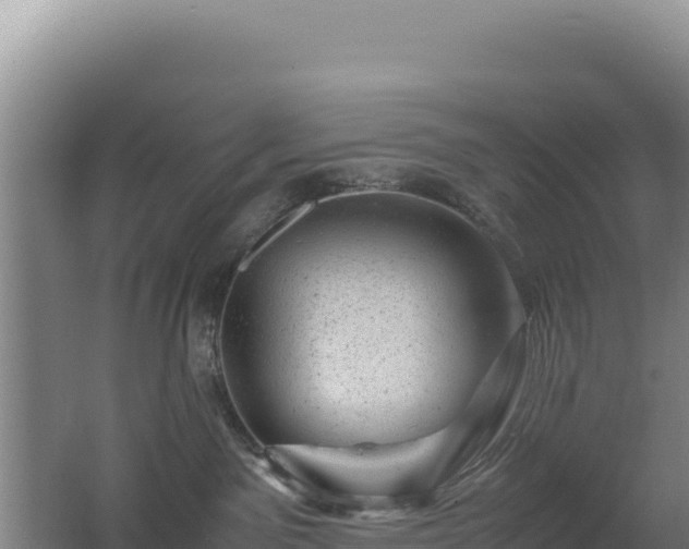 X0000062630141200512231024