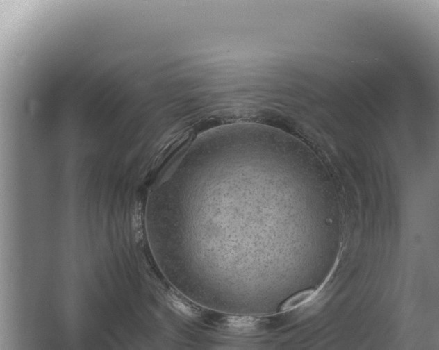 X0000062630144200512231024