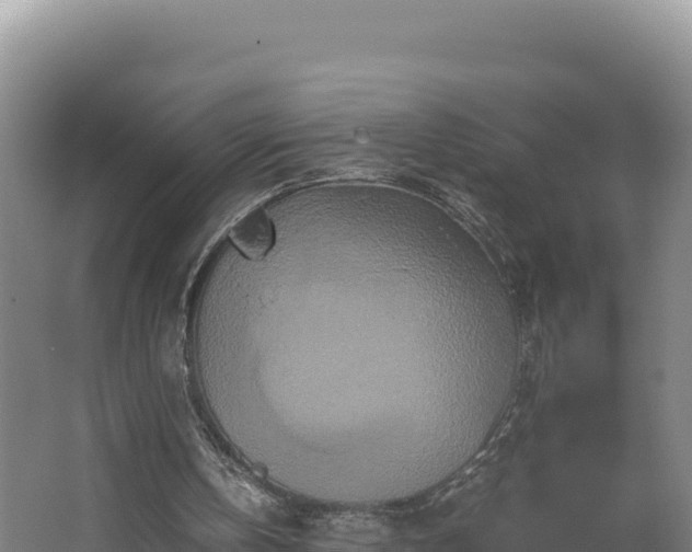 X0000062630146200512231023