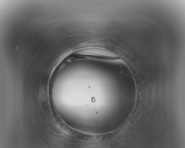 X0000062630148200512231023