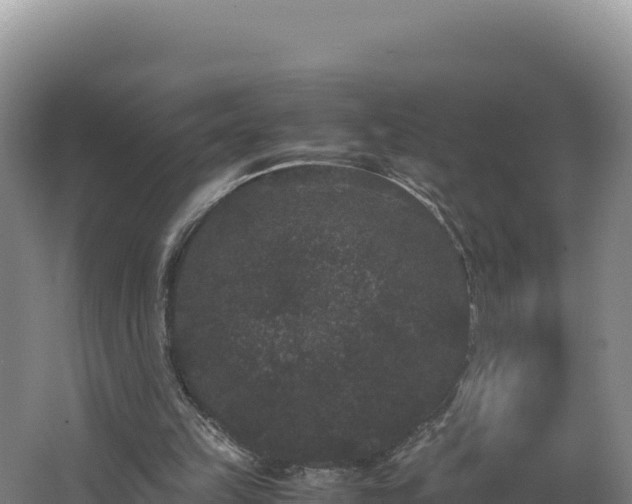 X0000062630149200512231023