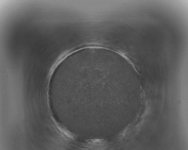 X0000062630151200512231023