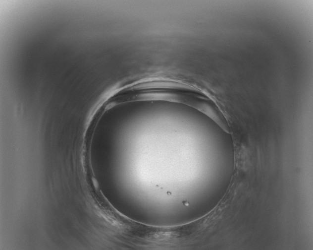 X0000062630152200512231023