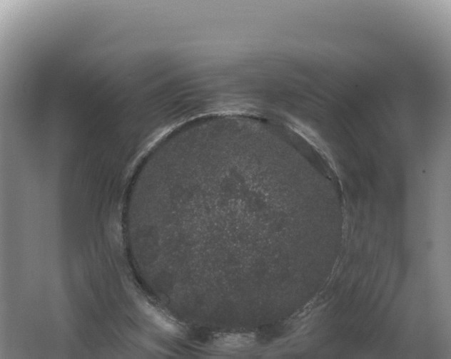 X0000062630155200512231023