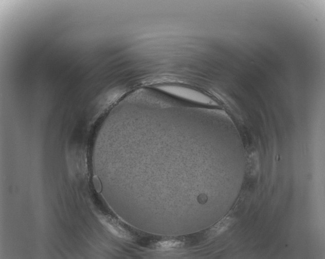 X0000062630158200512231023