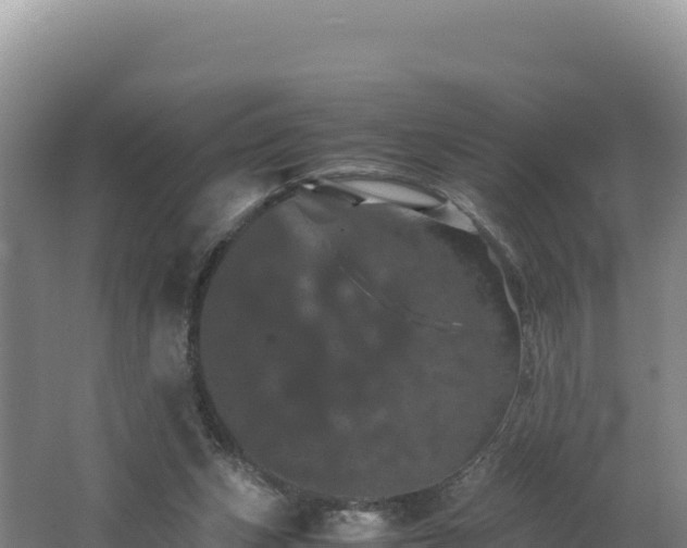 X0000062630159200512231023