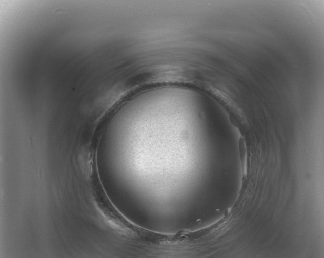 X0000062630160200512231023