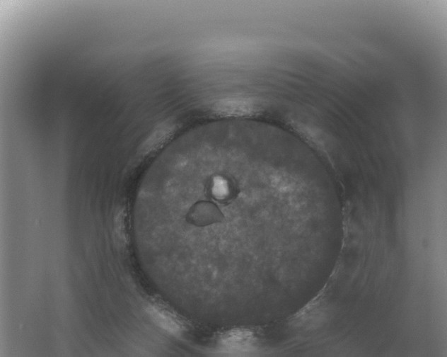 X0000062630162200512231023