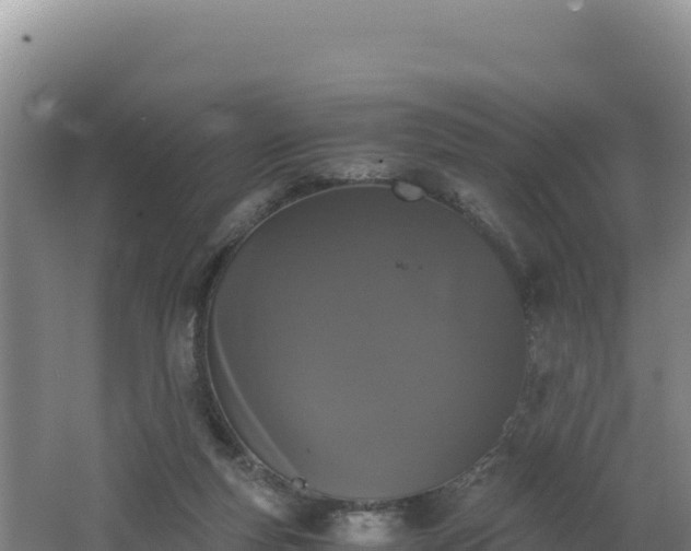 X0000062630163200512231023