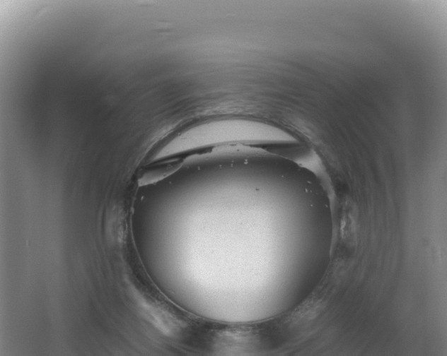 X0000062630164200512231023