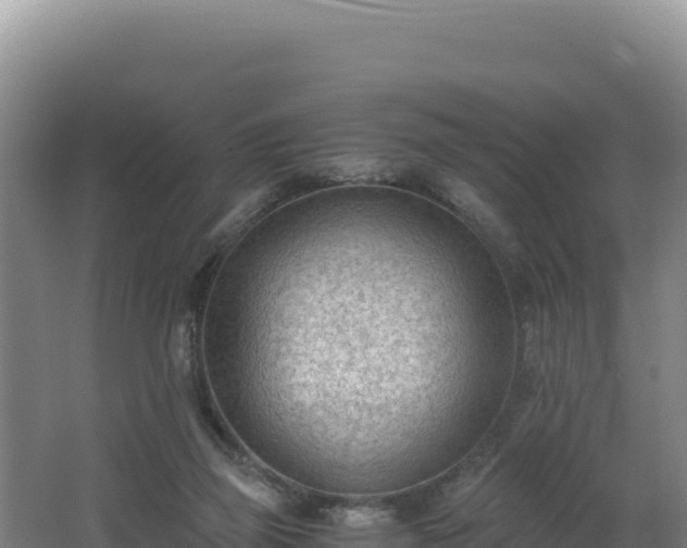 X0000062630165200512231023