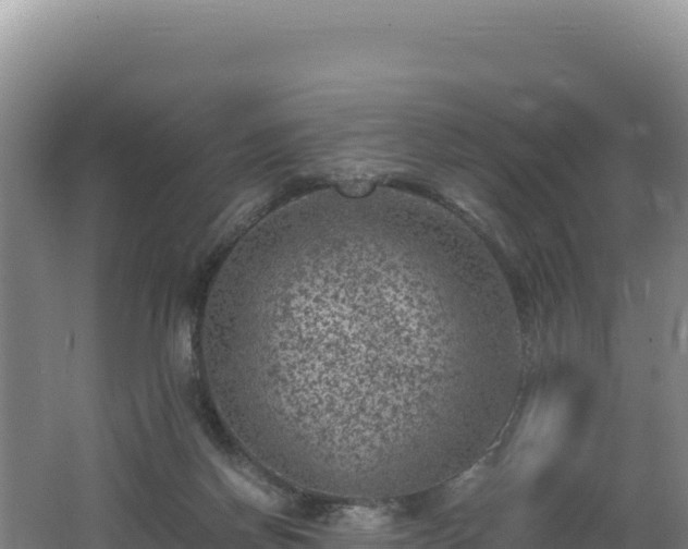 X0000062630166200512231023