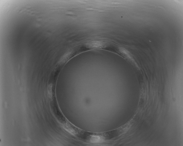 X0000062630167200512231023