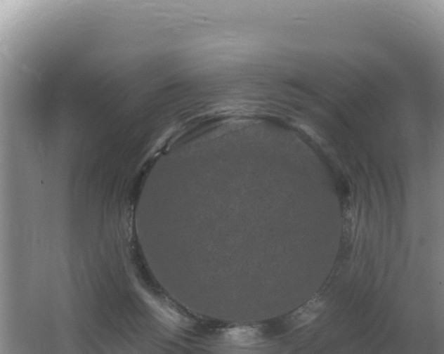 X0000062630168200512231023