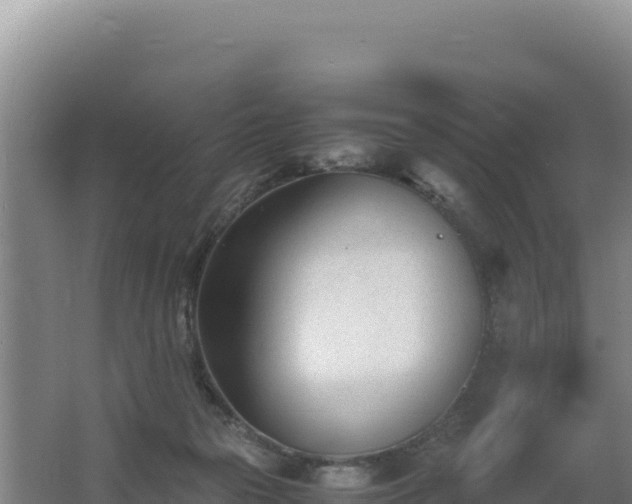 X0000062630169200512231023