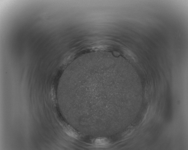 X0000062630173200512231023