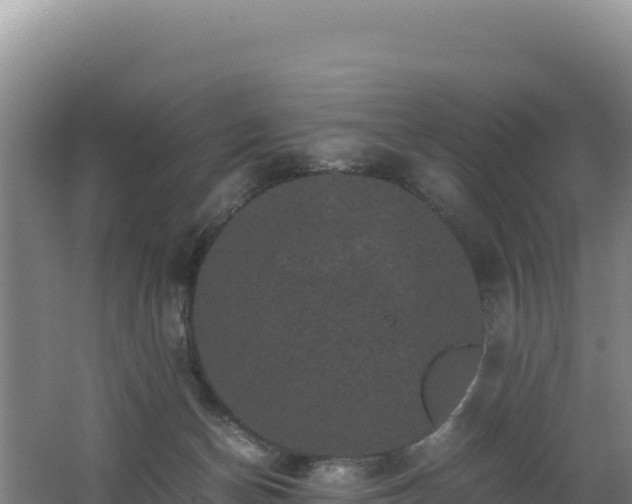 X0000062630174200512231023