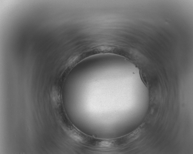 X0000062630176200512231023