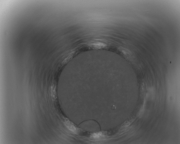 X0000062630177200512231023