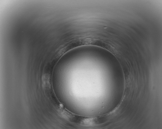 X0000062630178200512231023