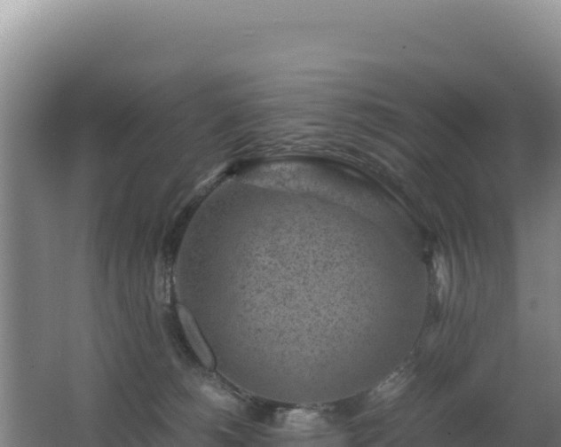 X0000062630180200512231023