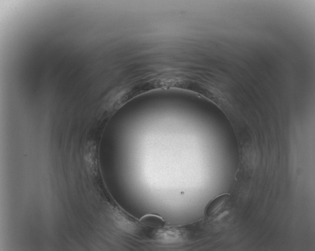 X0000062630181200512231023