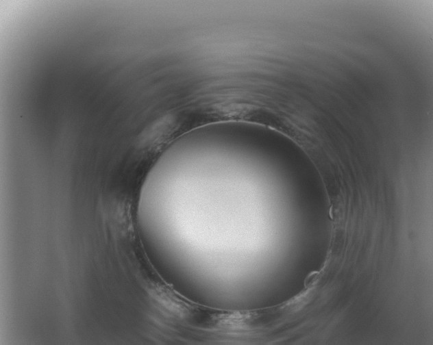 X0000062630182200512231023