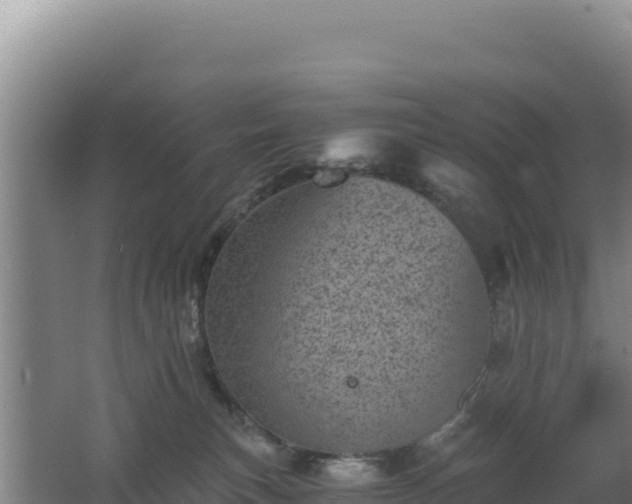 X0000062630183200512231023