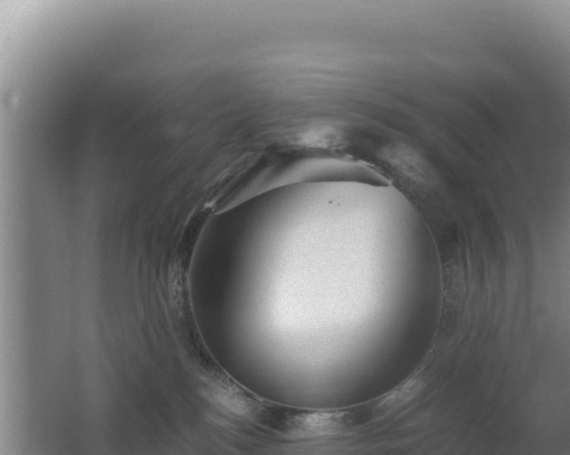 X0000062630184200512231023