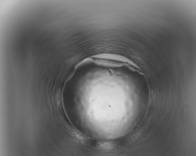 X0000062630189200512231024