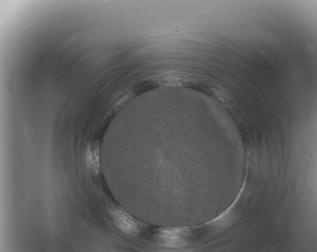 X0000062630190200512231024