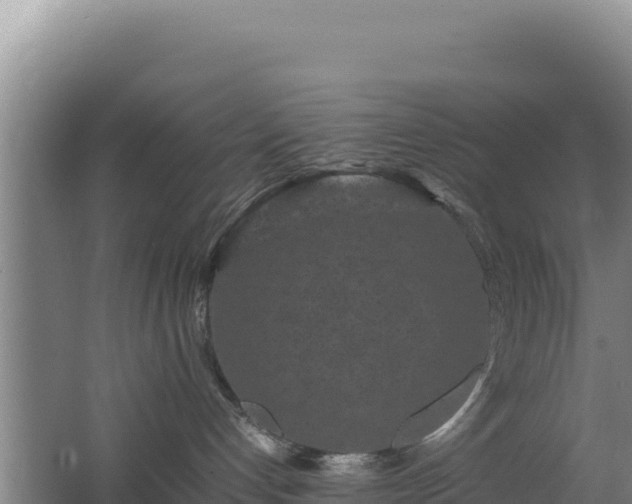 X0000062630192200512231024