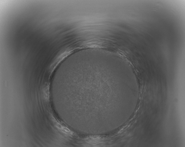 X0000062630194200512231023