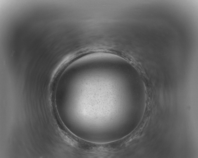 X0000062630197200512231023