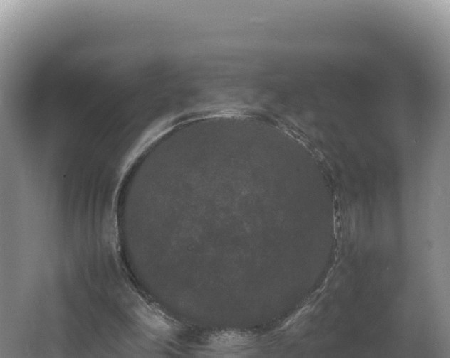 X0000062630198200512231023