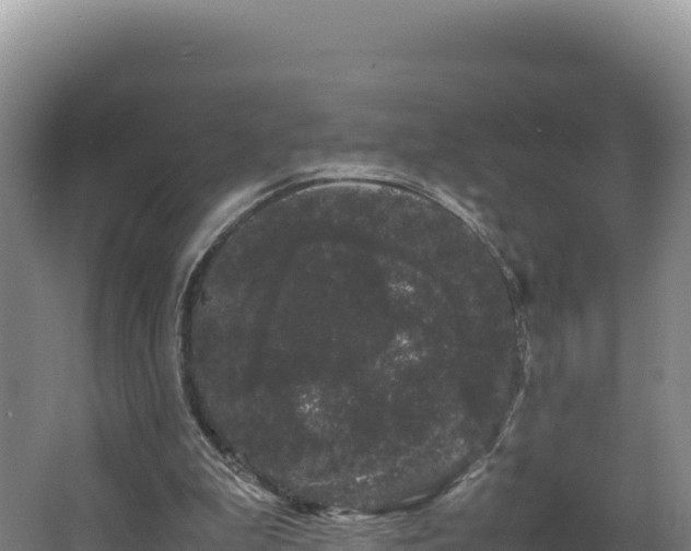 X0000062630199200512231023