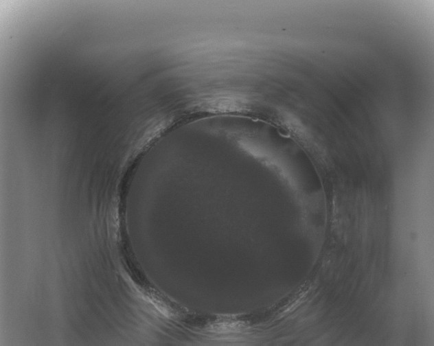 X0000062630202200512231023