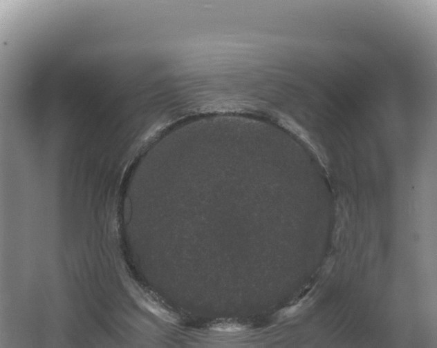 X0000062630203200512231022