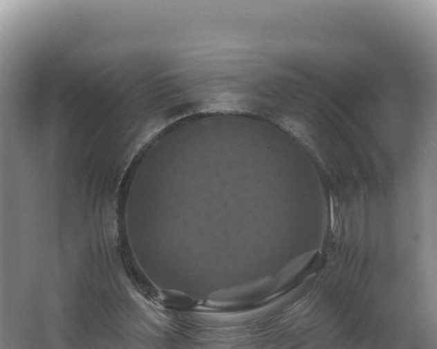 X0000062630204200512231022