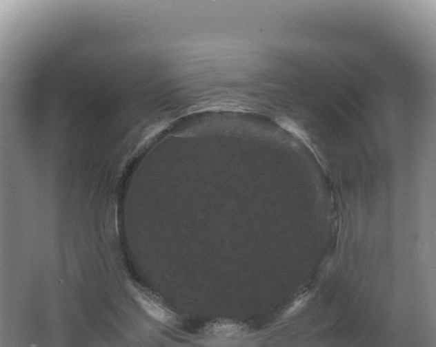 X0000062630205200512231022