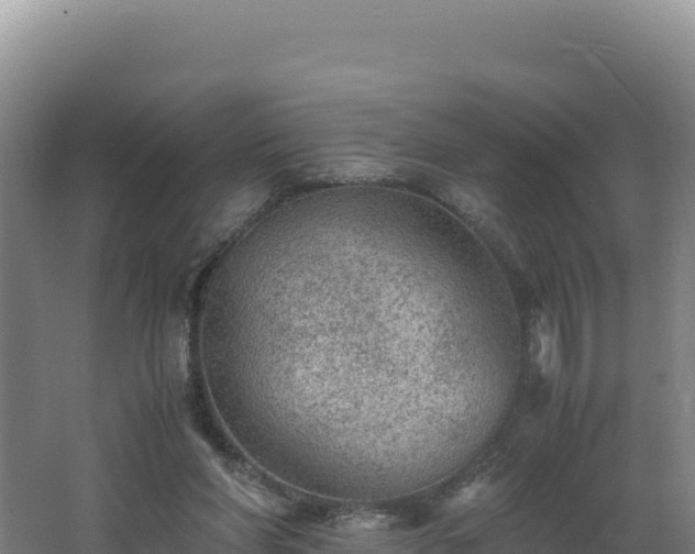 X0000062630206200512231022