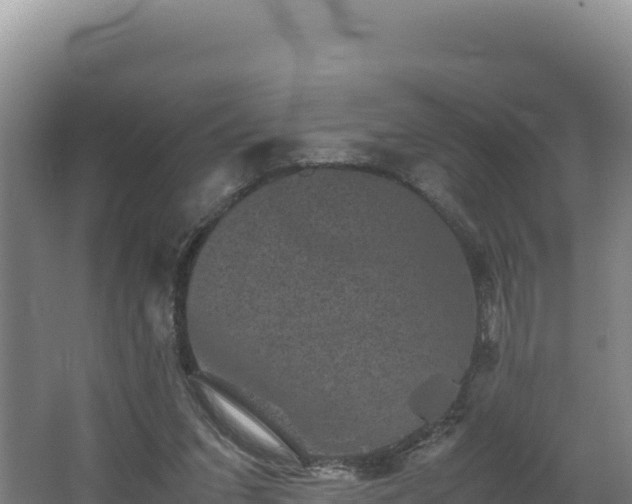 X0000062630207200512231022