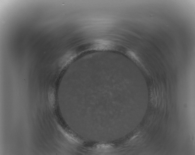 X0000062630208200512231022