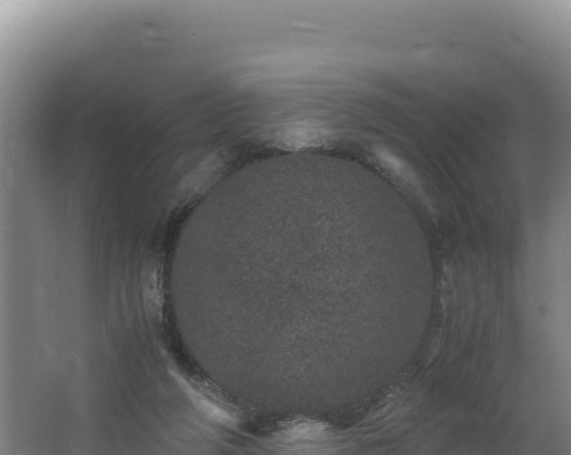 X0000062630210200512231022