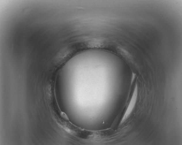 X0000062630211200512231022