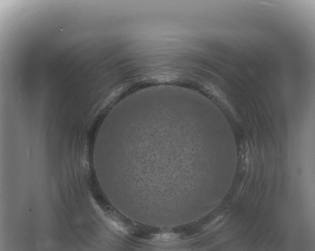 X0000062630212200512231022