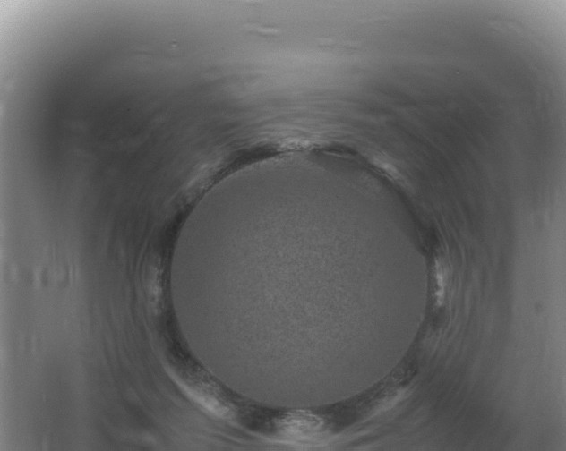 X0000062630215200512231022