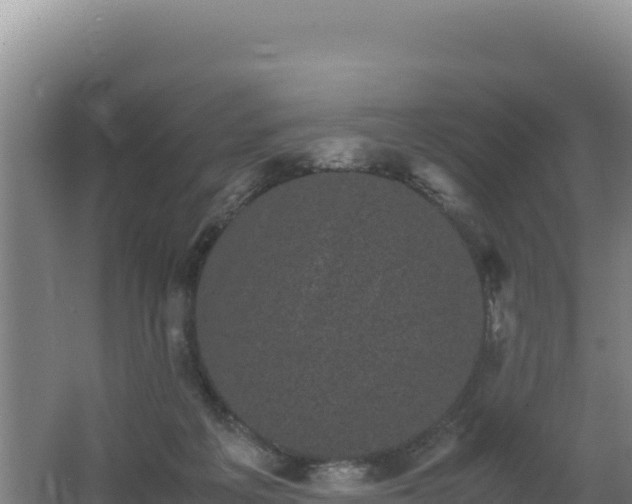 X0000062630217200512231022