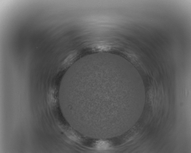 X0000062630218200512231022