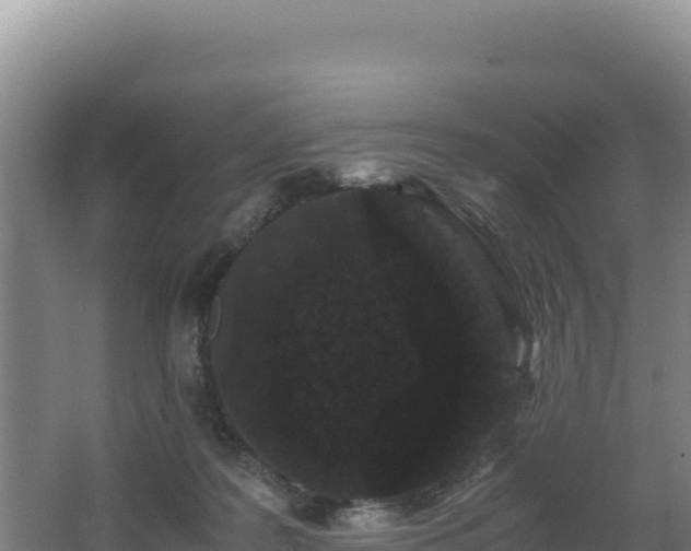 X0000062630219200512231022